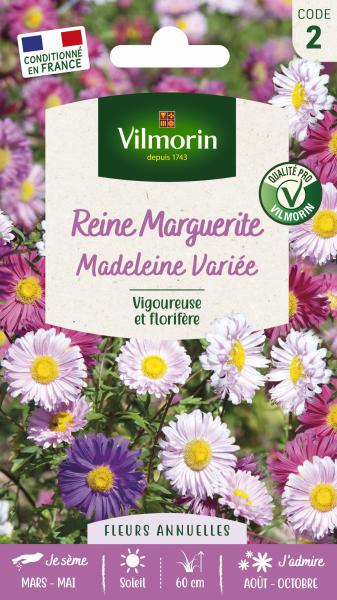 Fleurs - Reine-Marguerite Simple Variée - PACKAGING_RECTO